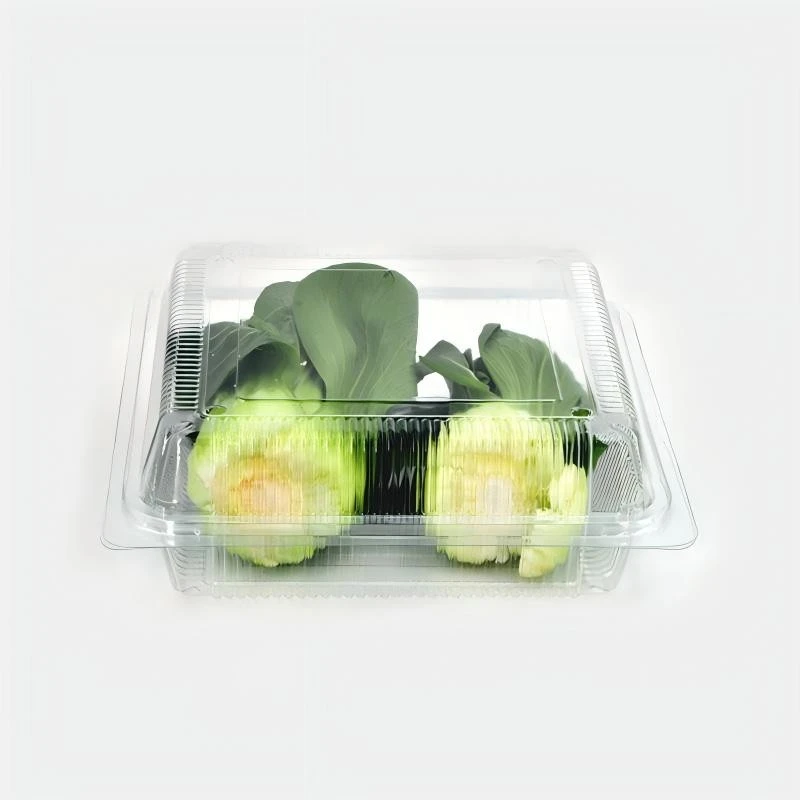 PLASTIC Vegetable Boxes price